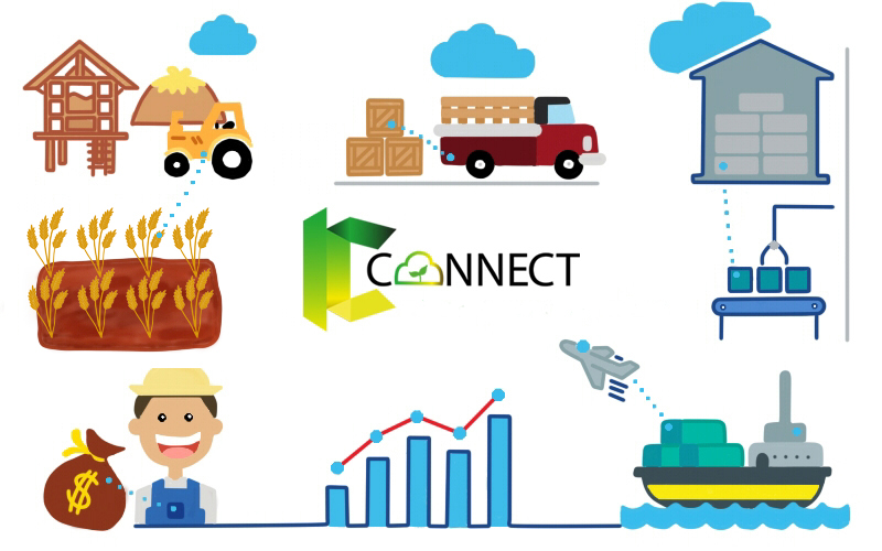 Illustration around the Kaset Connect logo showing a connected agricultural chain: farm, transport, warehouse and processing, export, and economic growth